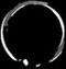 www.TATHs-PIERCING.de