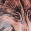 � TATTOO�s ROLF